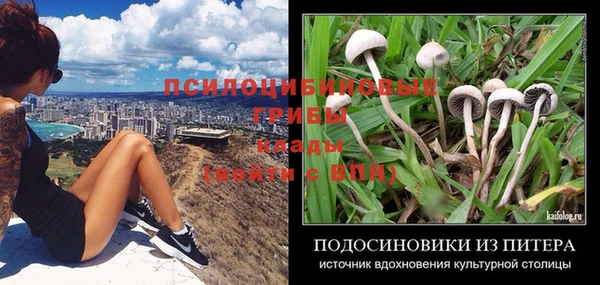 каннабис Верея