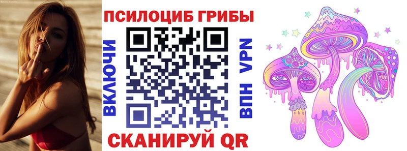 shop какой сайт  Таганрог  Псилоцибиновые грибы Psilocybe 